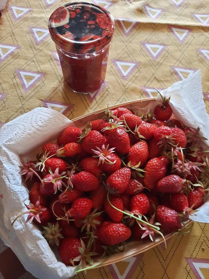 Notre Village Papillon Bed&Breakfast Neret Екстериор снимка