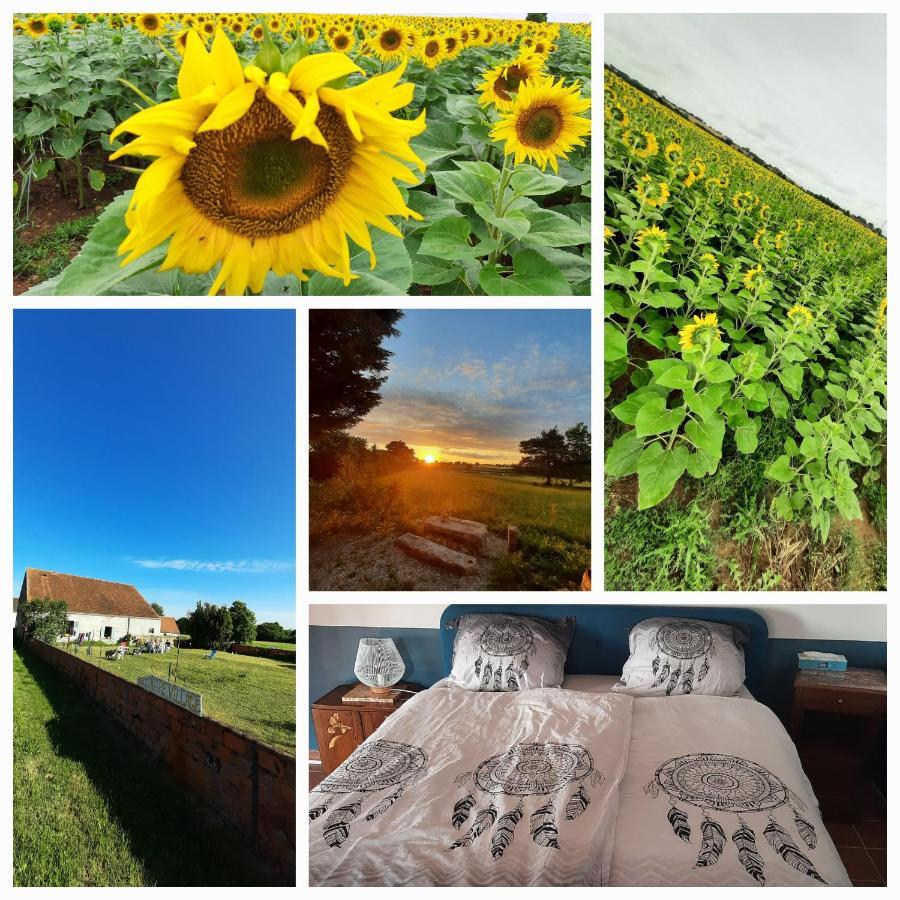 Notre Village Papillon Bed&Breakfast Neret Екстериор снимка